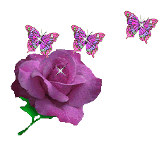 20090822151633-miscellaneous-23.gif
